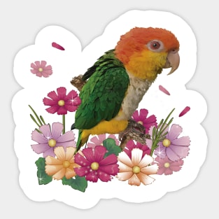 White-bellied Parrot Sticker